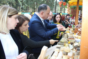 73321917_2442871585808658_834907248244293632_o