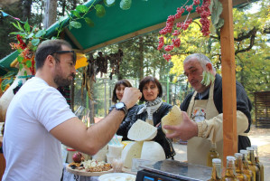 73259262_2442871142475369_4496941500348760064_o