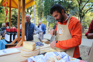 73128871_2442869232475560_7951309054284922880_o